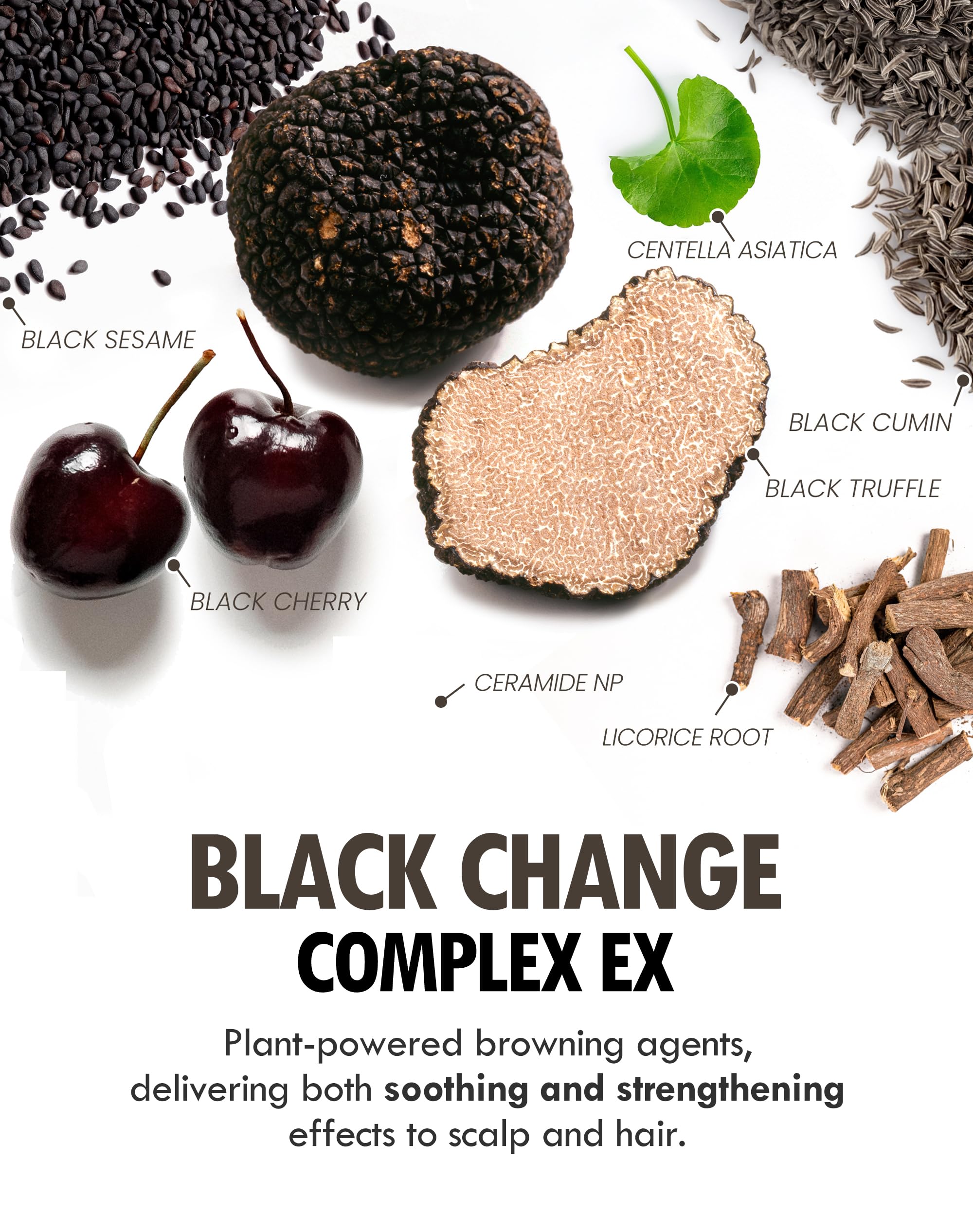 MODA MODA Zero Gray Black Shampoo — couleur naturelle qui peut nourrir la texture et la brillance.