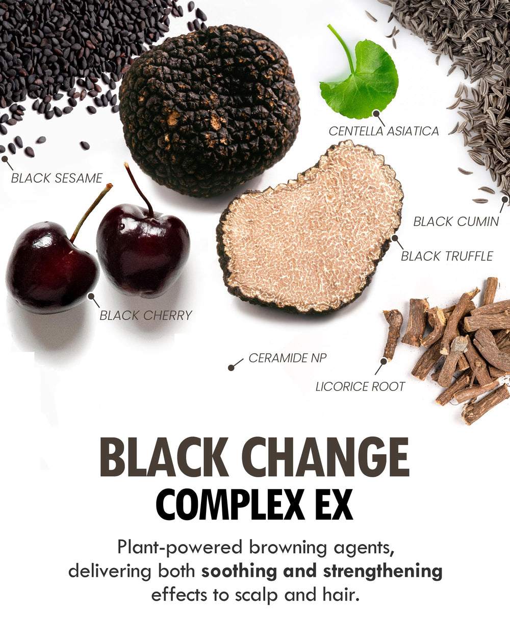 MODA MODA Zero Gray Black Shampoo — couleur naturelle qui peut nourrir la texture et la brillance.
