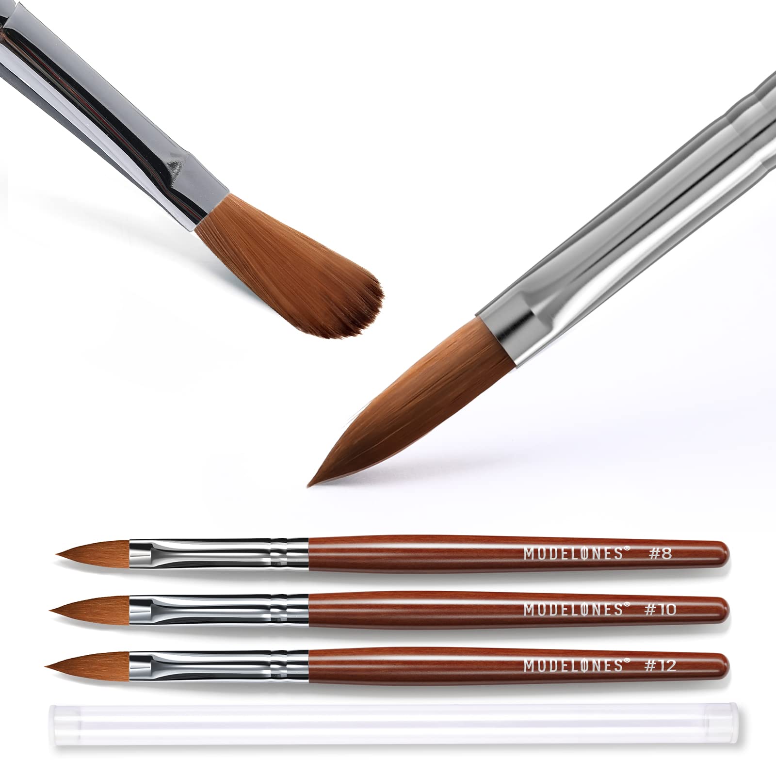 Modelones outil durable pour une longévité en salon et chez soi