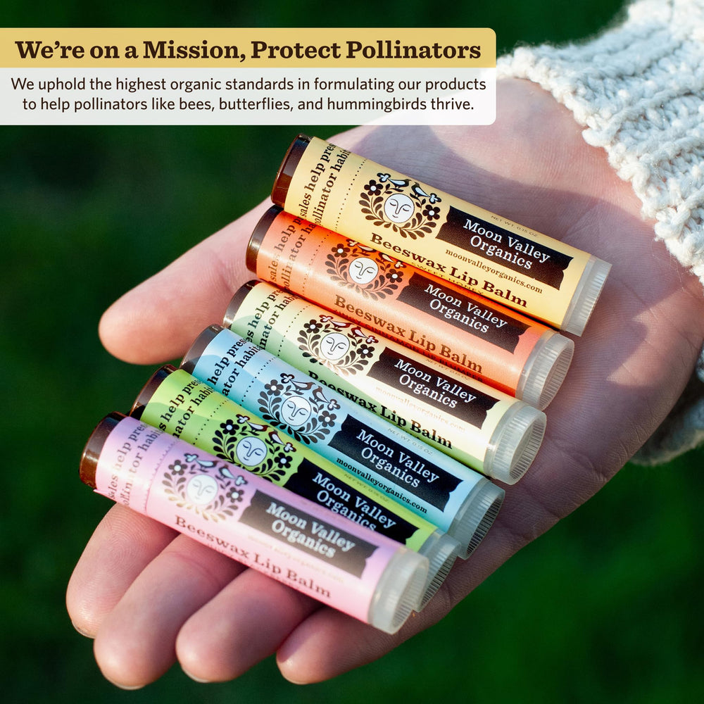 Moon Valley Organics lot de six sticks, pratique à emporter.
