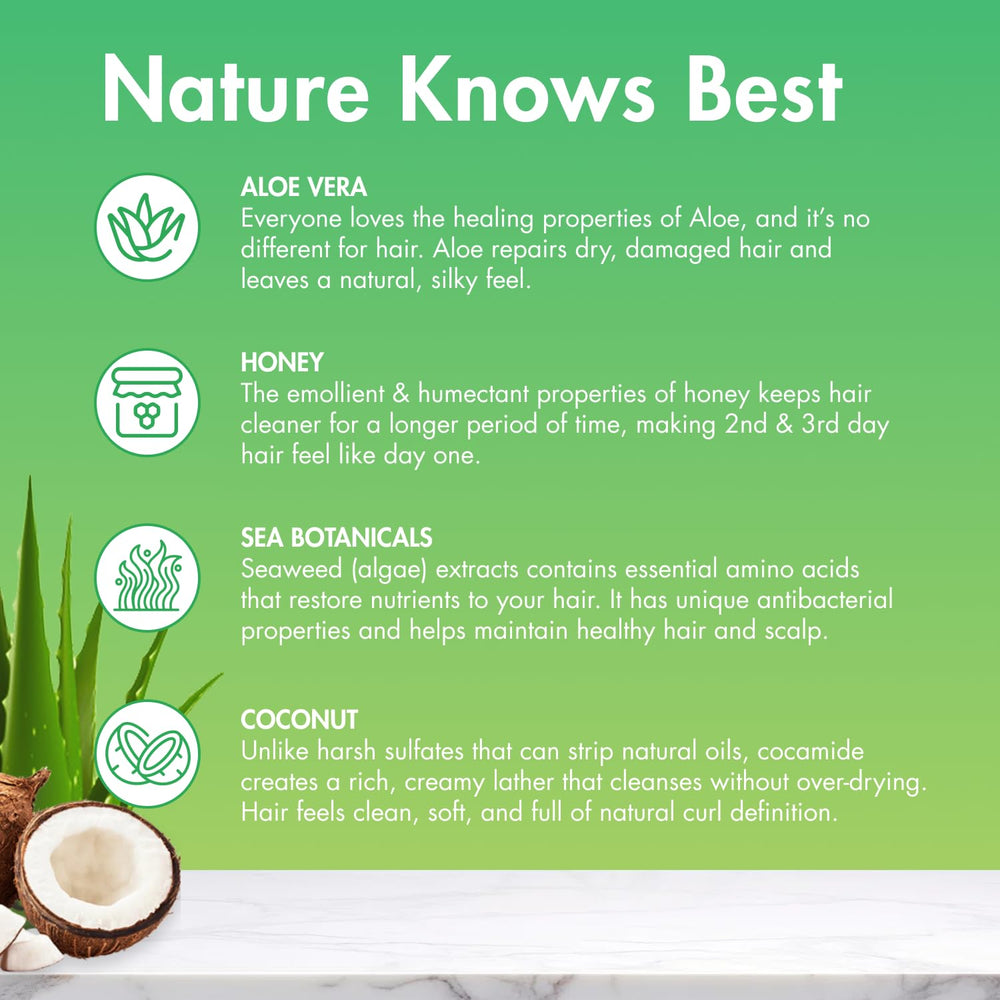 MopTop ingrédients coco miel aloe — formule sans sulfates et sans parabènes.