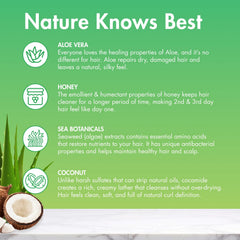 MopTop ingrédients coco miel aloe — formule sans sulfates et sans parabènes.