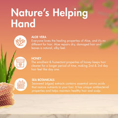 MopTop Sans-paraben-sans-sulfate-bouteille: formule propre pour cheveux sensibles.