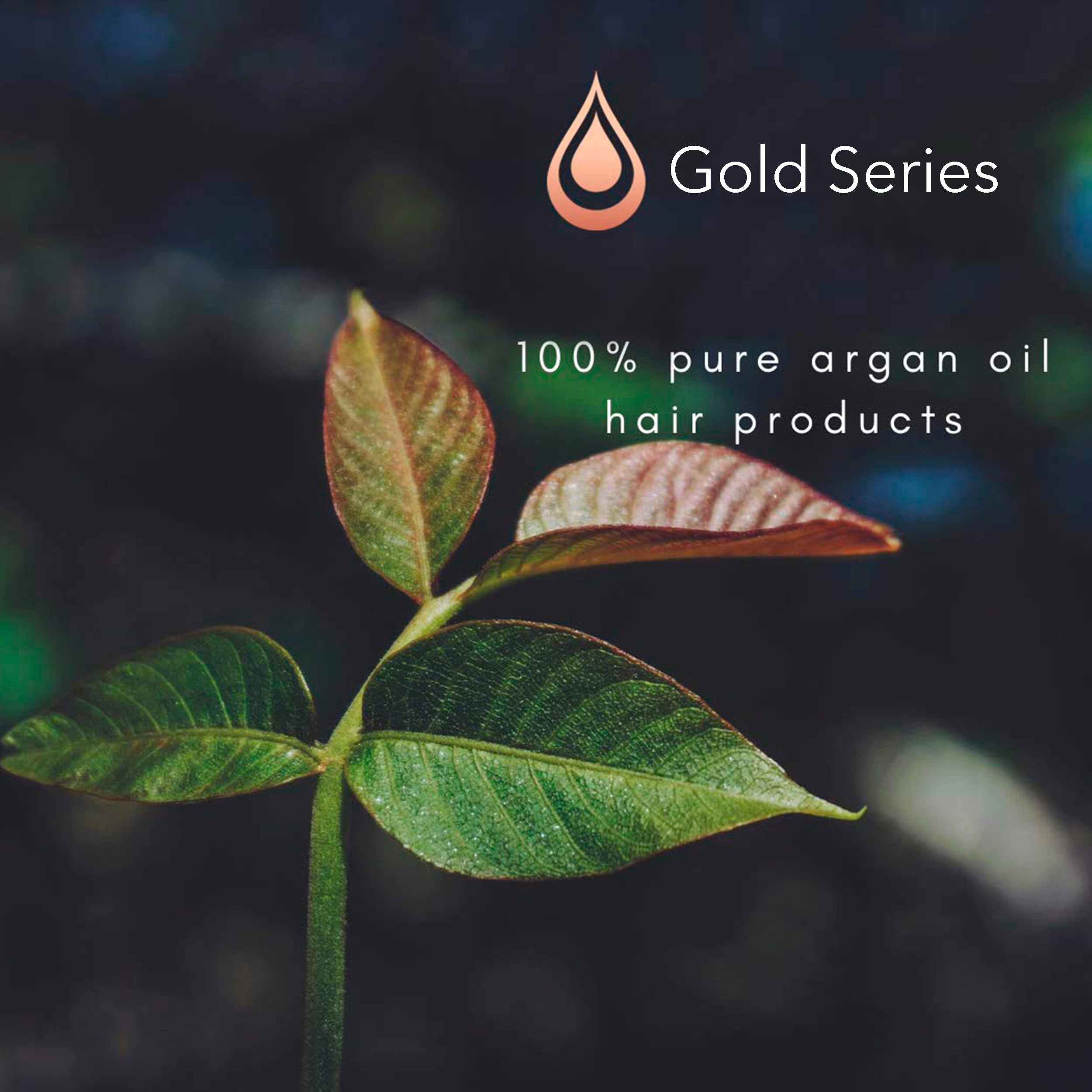 Moroccan Gold Series traitement nourrissant cheveux argan: démêlage facilité et brillance naturelle.