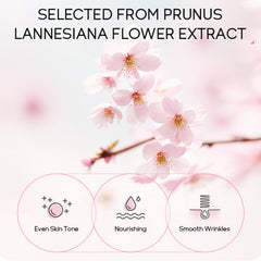 MrCuvaryas Sakura sérum: hydratation en profondeur et teint lumineux.
