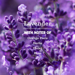 Savon mains lavande Mrs. Meyer’s : parfum floral original et rafraîchissant.
