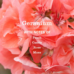Mrs. Meyer's Clean Day Senteur Geranium rose, ambiance printanière dans la salle de bains.