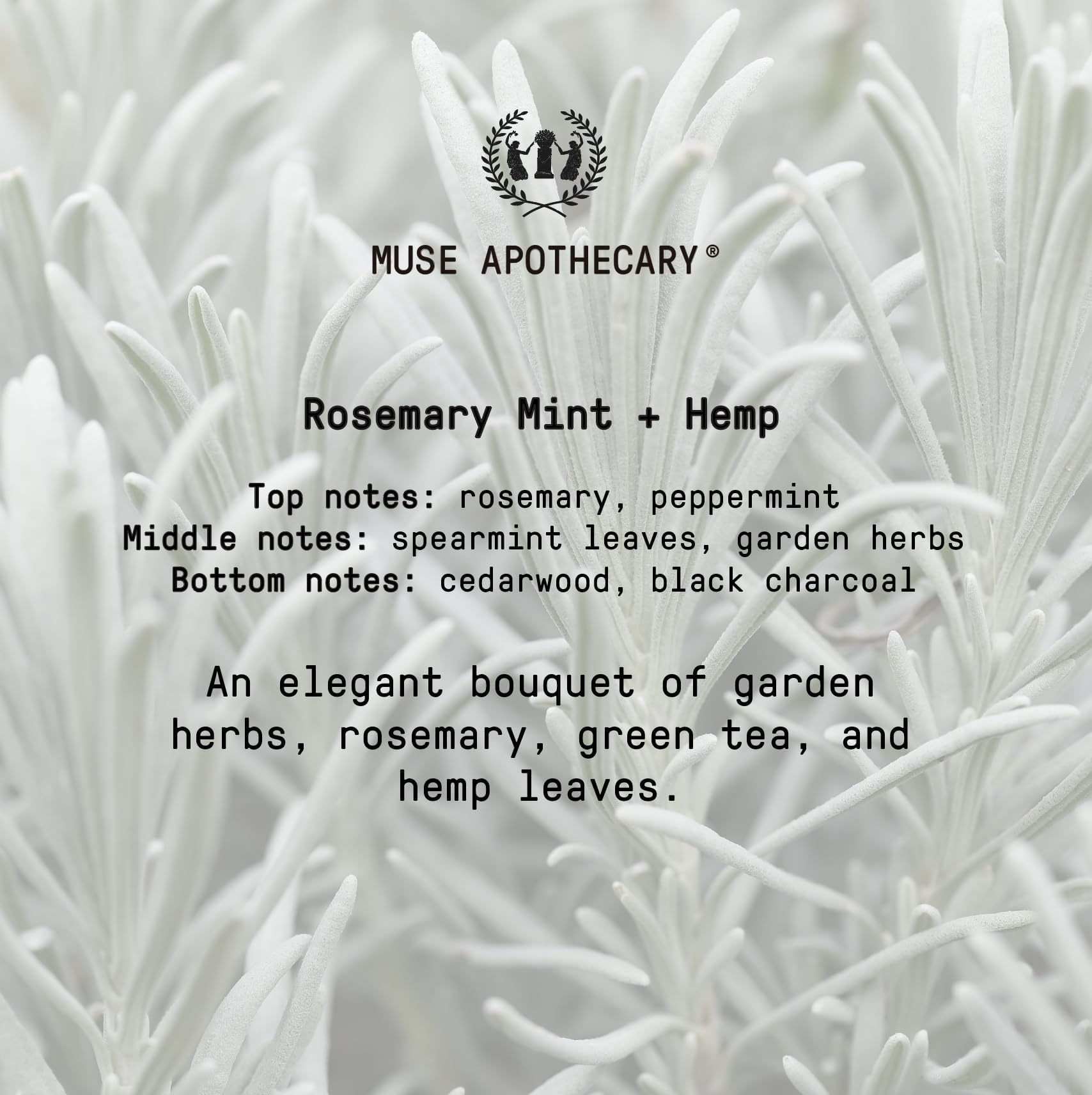 Cadeau idéal Muse Apothecary Savon Mains, parfait pour occasions spéciales.