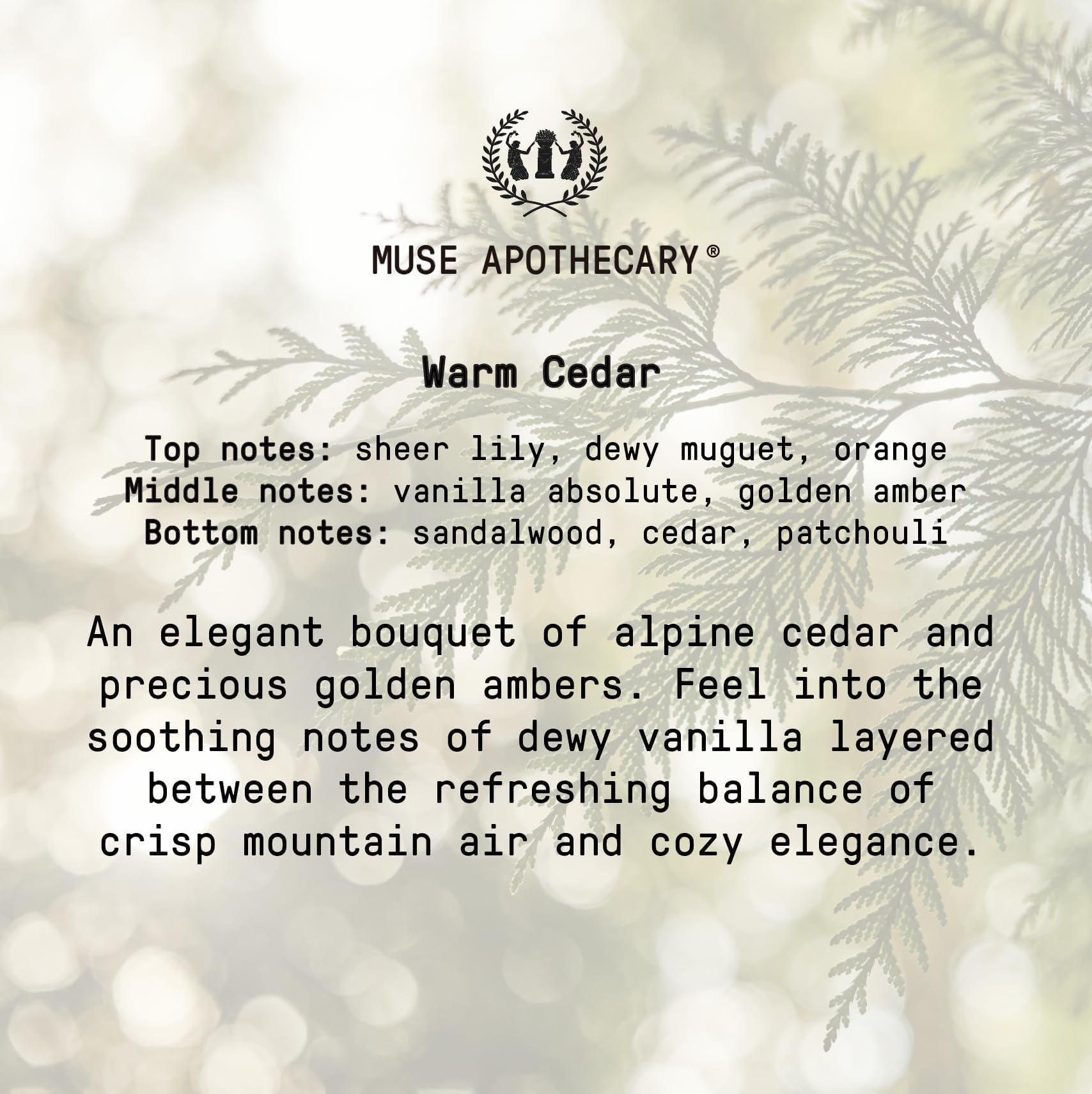 Muse Apothecary emballage éco-responsable, idéal en cadeau