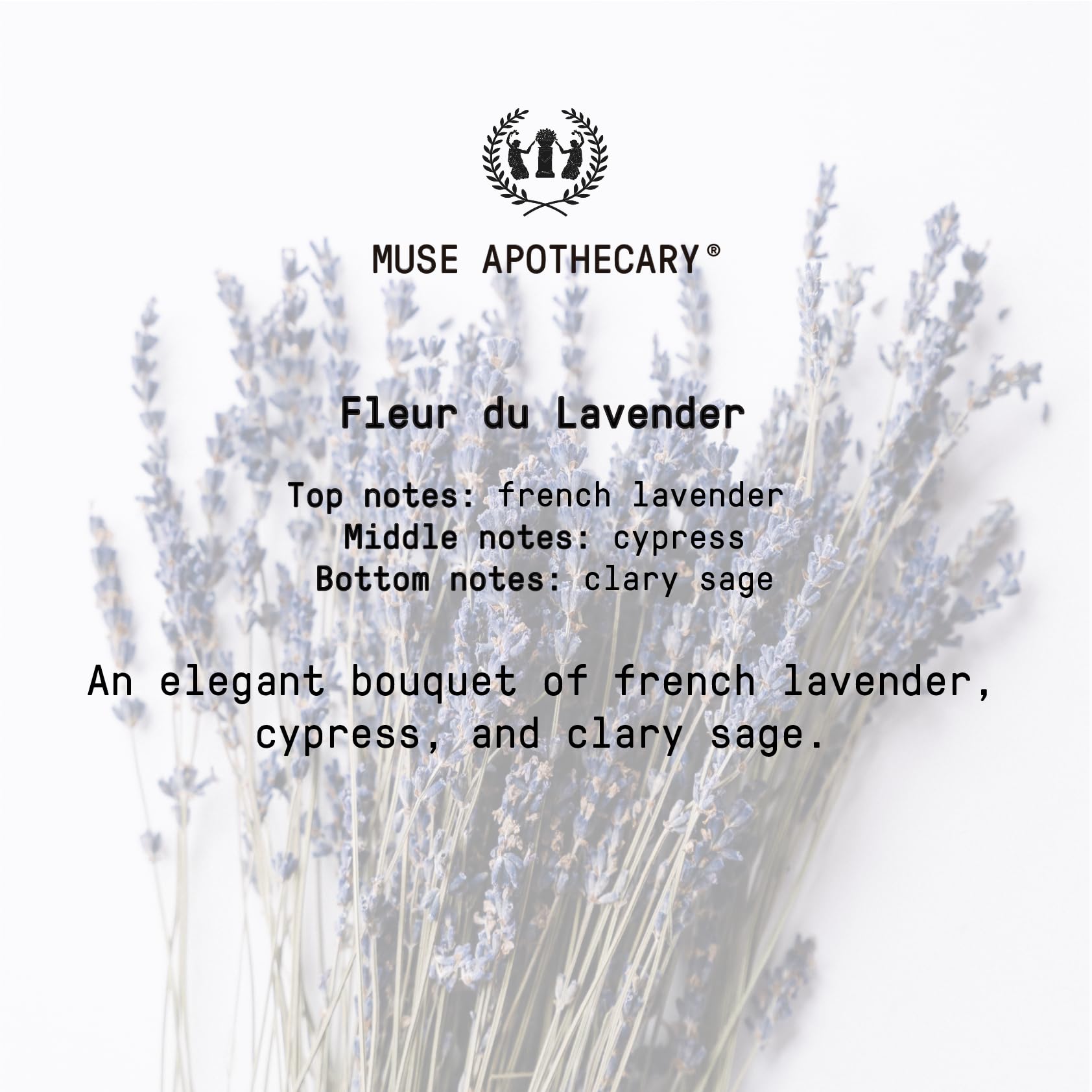 Utilisation quotidienne – Muse Apothecary, mains propres et revitalisées grâce à l’aromathérapie.