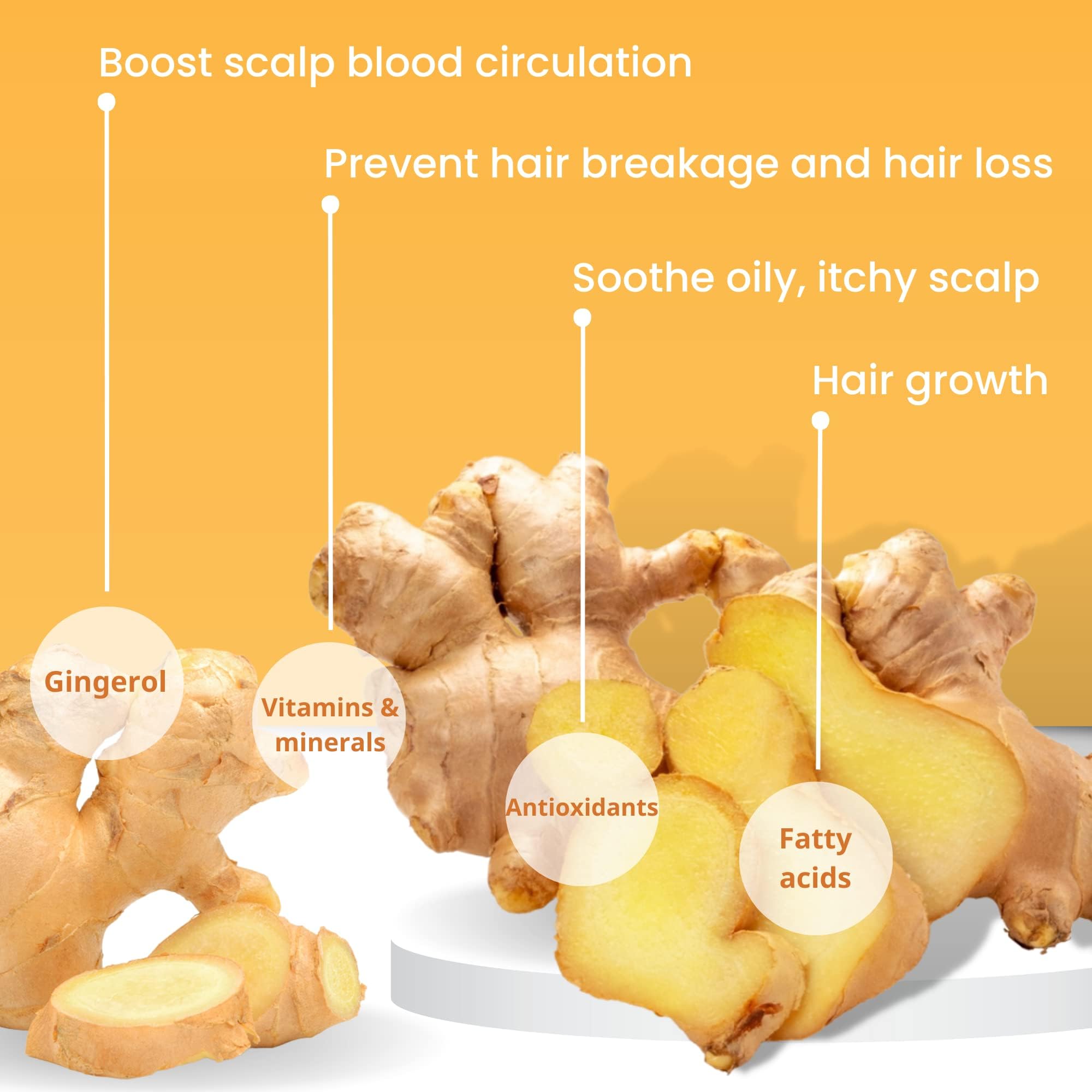 Muun Ginger Conditioner Bar en gros plan, nourrissant pour longueurs.
