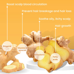 Muun Ginger Conditioner Bar en gros plan, nourrissant pour longueurs.