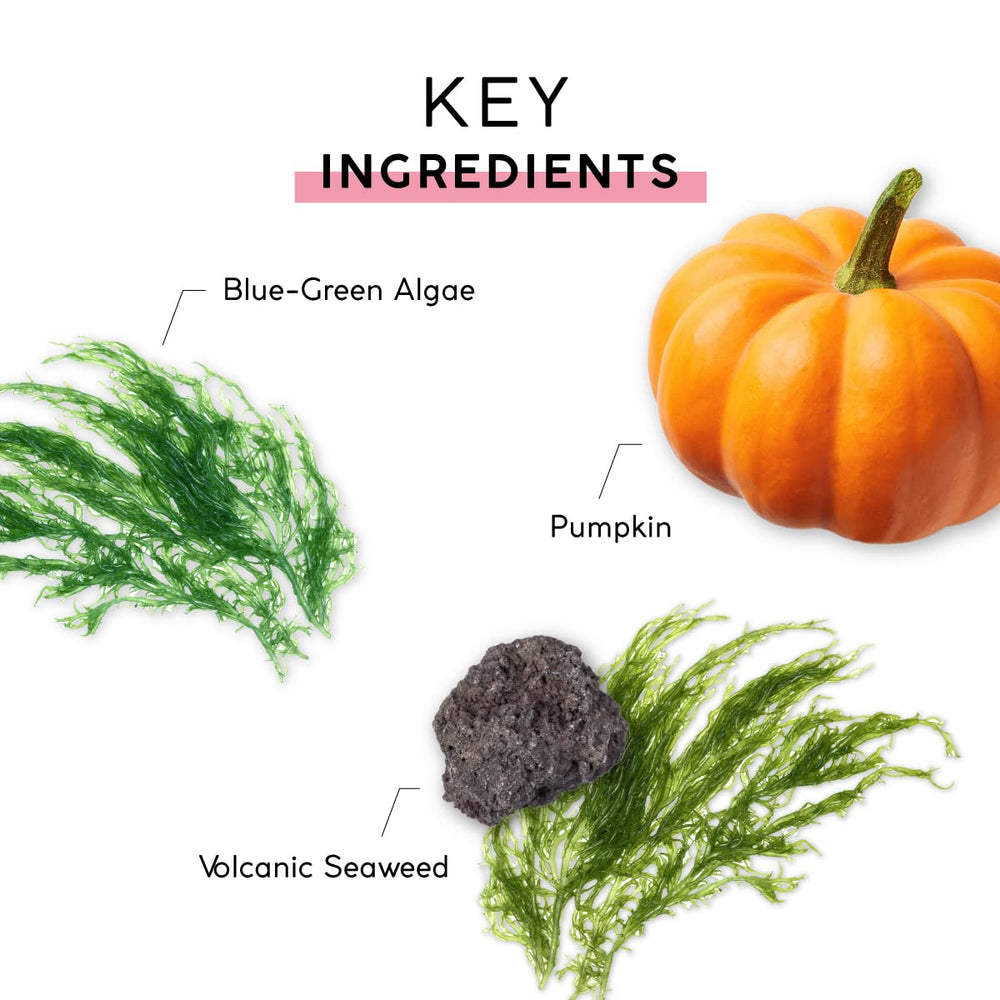 MyCHELLE Pumpkin Cleanser: utilisation quotidienne facile et efficace.