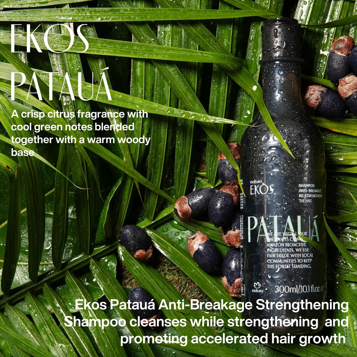 Natura Ekos Patauá Shampooing, ingrédients amazonien pour une routine naturelle.