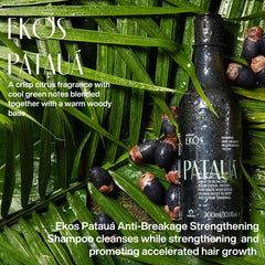 Natura Ekos Patauá Shampooing, ingrédients amazonien pour une routine naturelle.