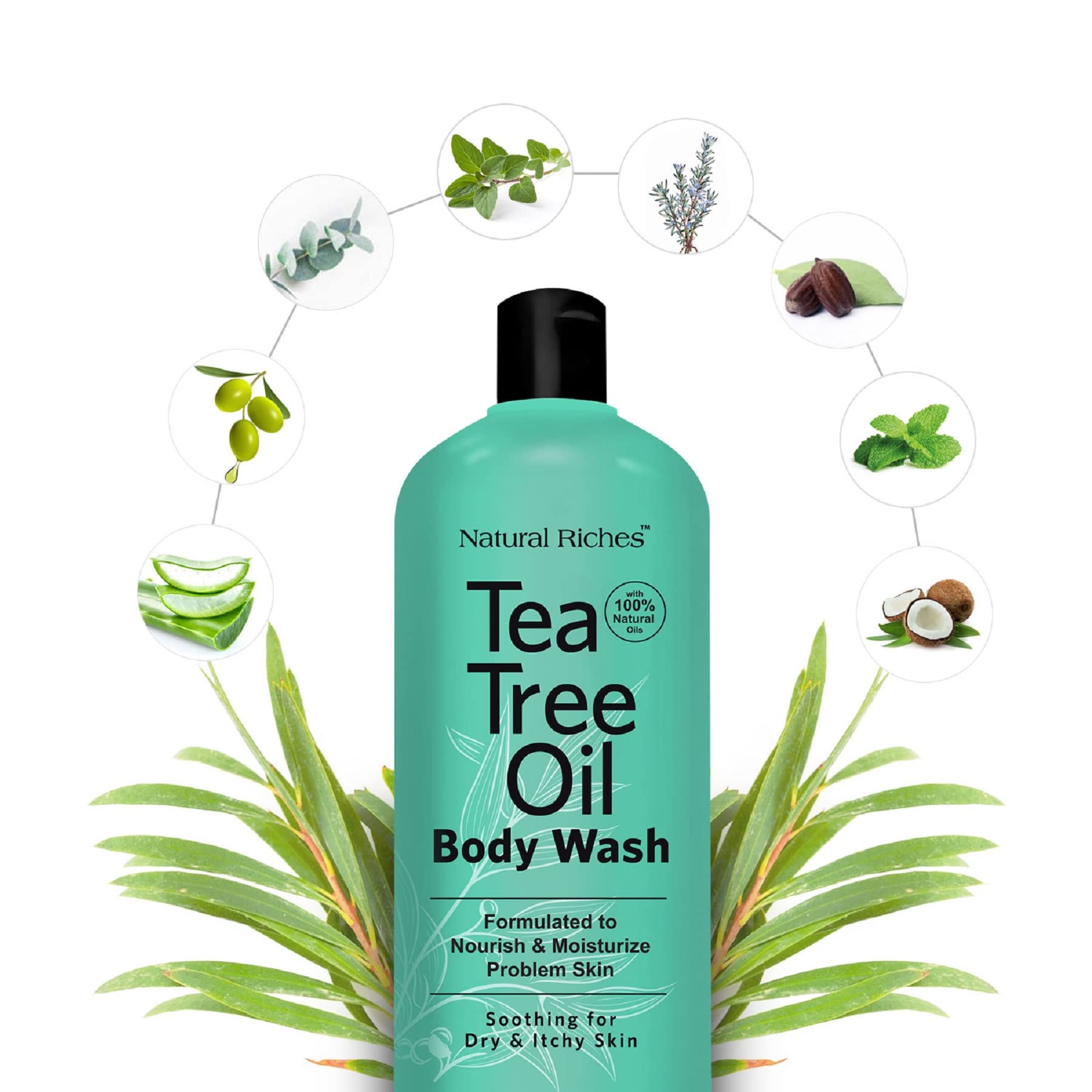 Natural Riches gel douche arbre à thé — essences botaniques pour peau équilibrée et fraîcheur