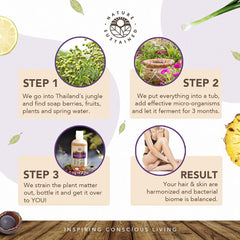 Nature Sustained – production écoresponsable et énergie renouvelable pour une routine durable.