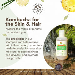Nature Sustained Shampoing Original, présence de saponine naturelle nettoyant en douceur.