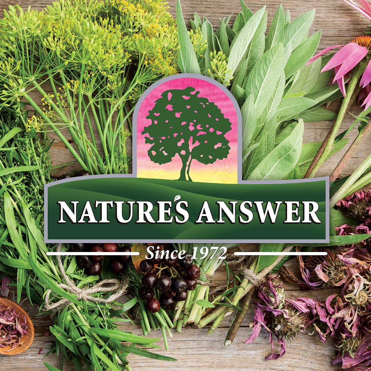 Nature's Answer Crème Réglisse – soin quotidien sans parabènes pour peau sensible.