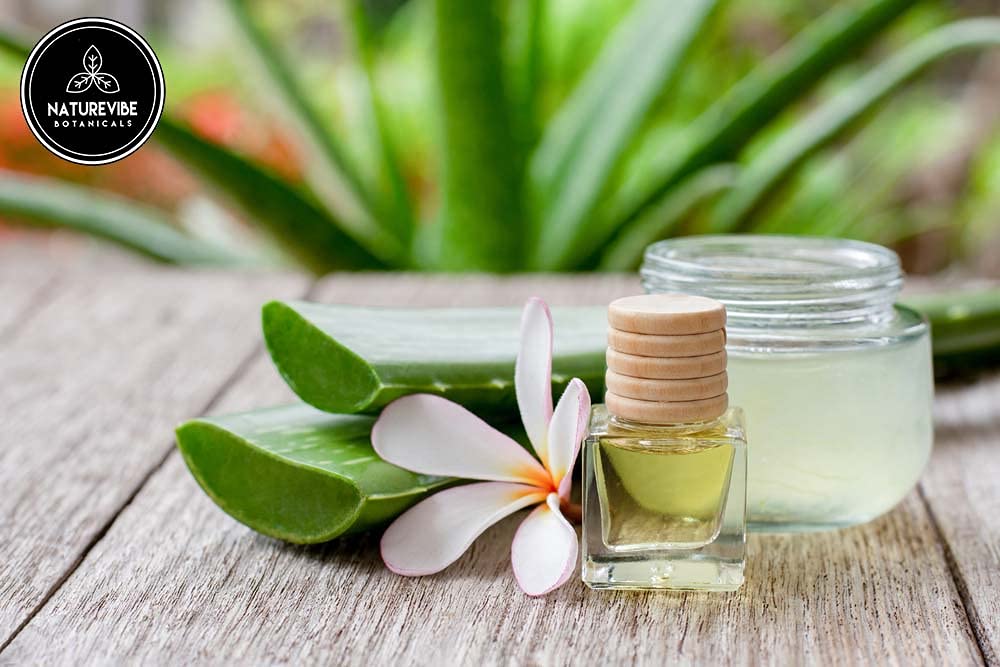 Naturevibe Botanicals Aloe Vera Oil, soin du visage et douceur cutanée