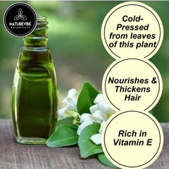 Naturevibe Botanicals Bhringraj huile — texture dense, richesse nourrissante pour cheveux.