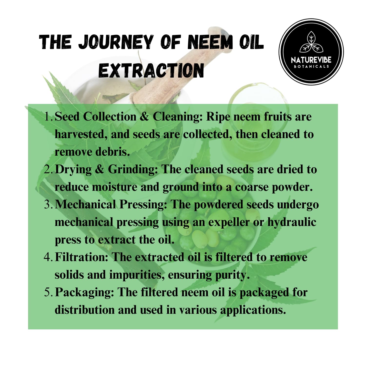 Neem huile Naturevibe Botanicals, bocal hermétique pour préserver la fraîcheur.