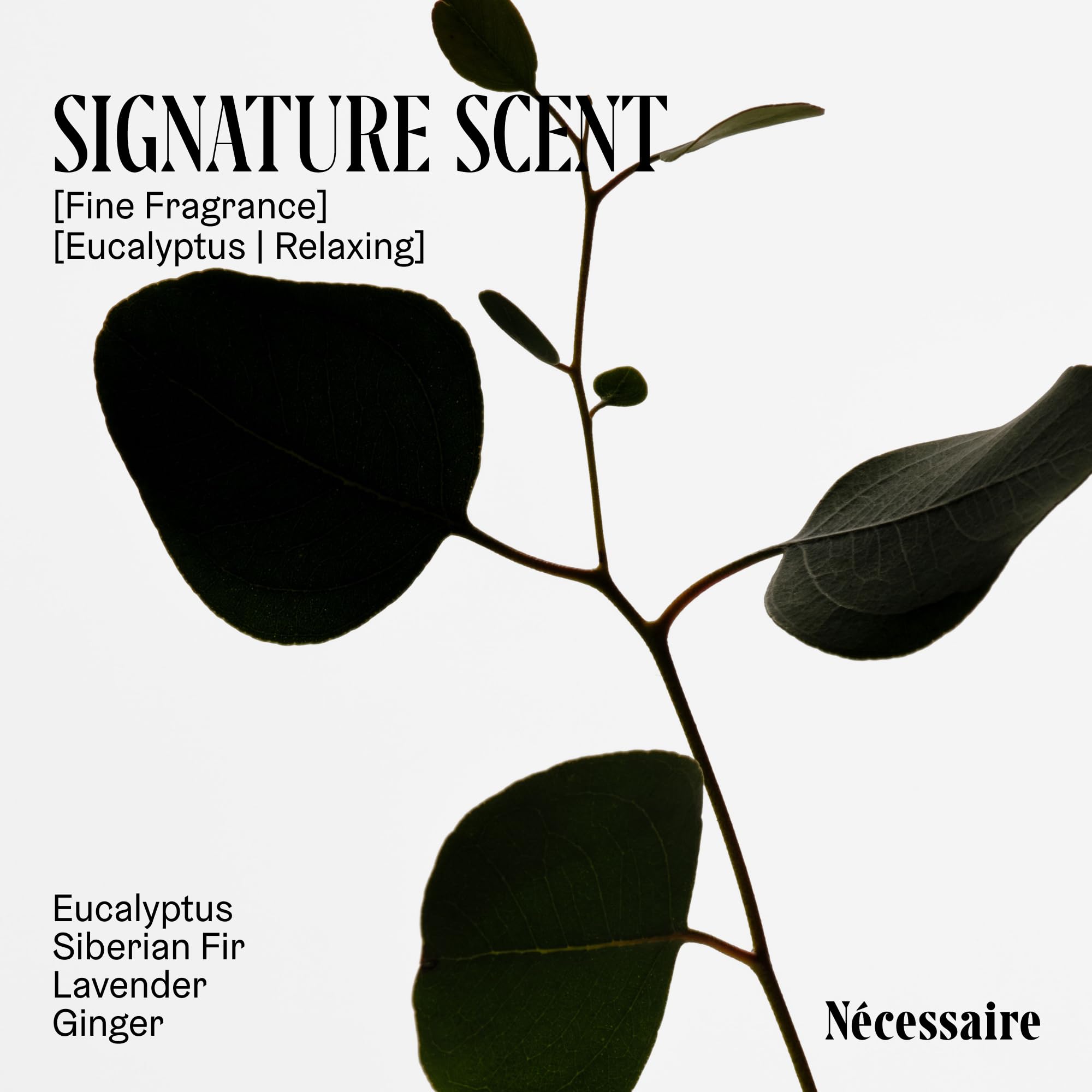 Profil parfumé Nécessaire: eucalyptus et notes boisées pour une expérience sensorielle.