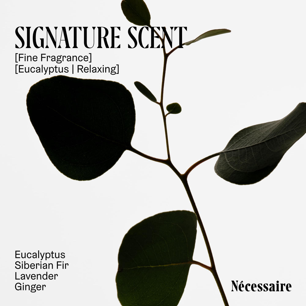 Profil parfumé Nécessaire: eucalyptus et notes boisées pour une expérience sensorielle.