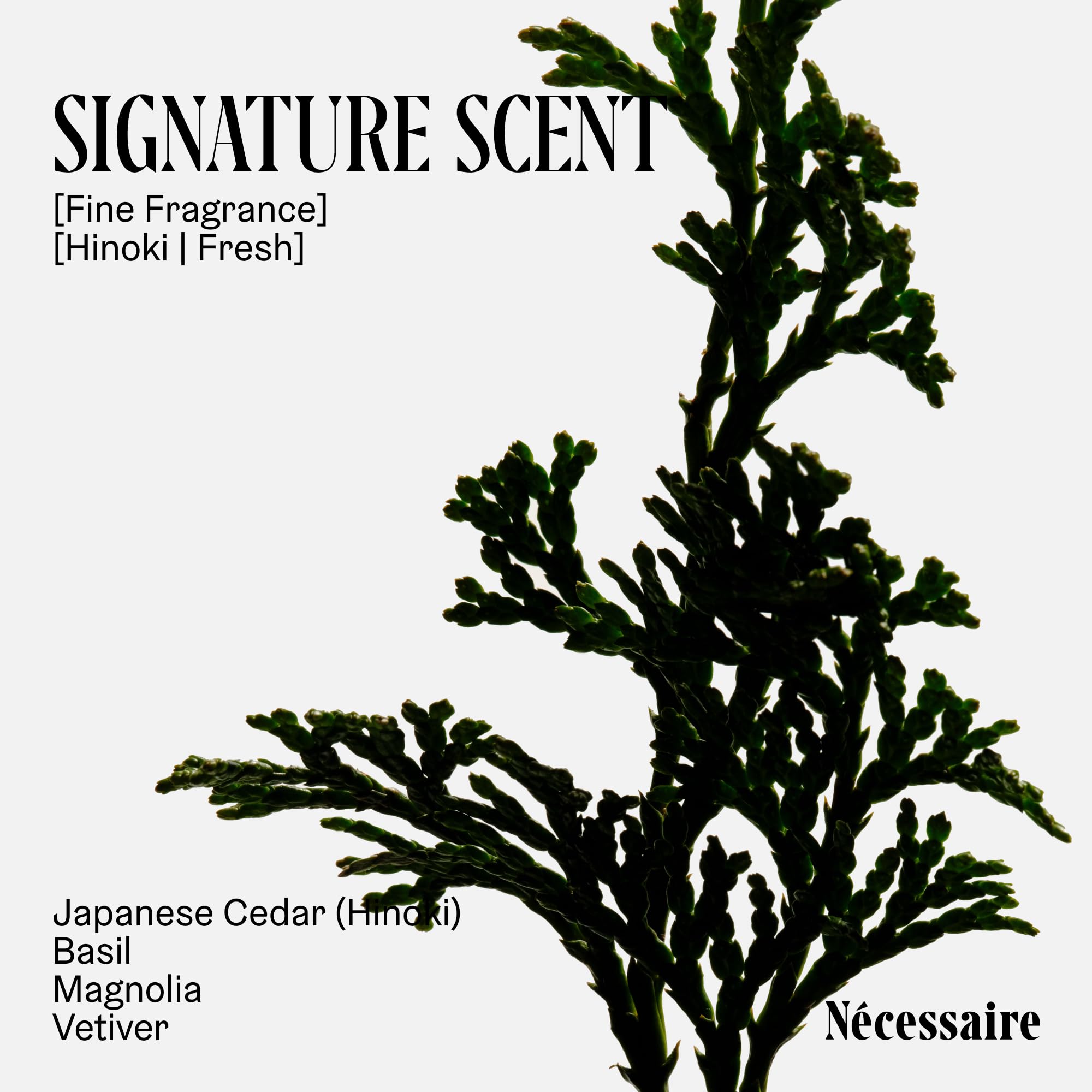 Nécessaire formulation sans SLS/SLES, parabènes, phtalates et PEGs, vegan.
