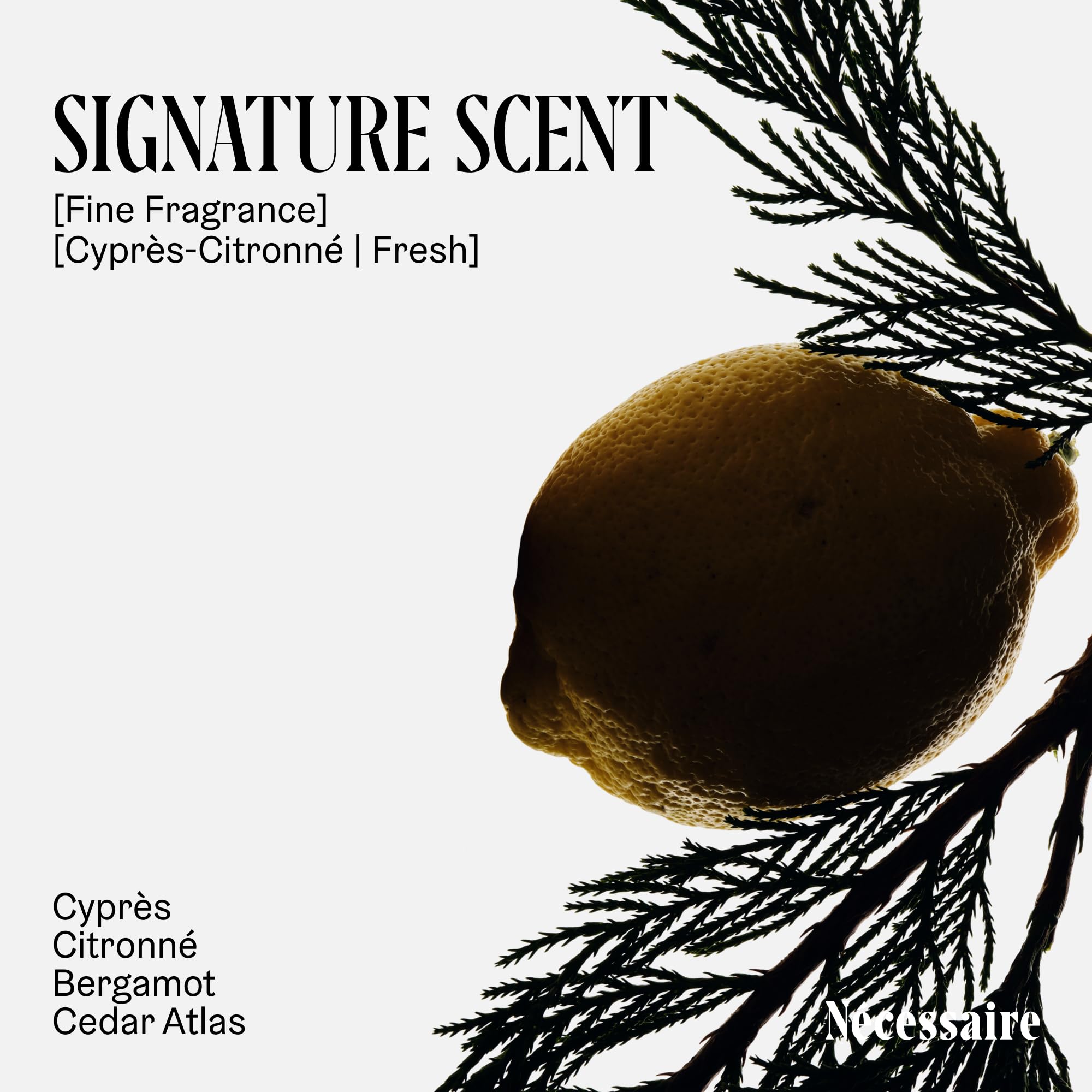 Nécessaire Gel Douche Cyprès-Citronné, emballage éco-responsable et pratique.