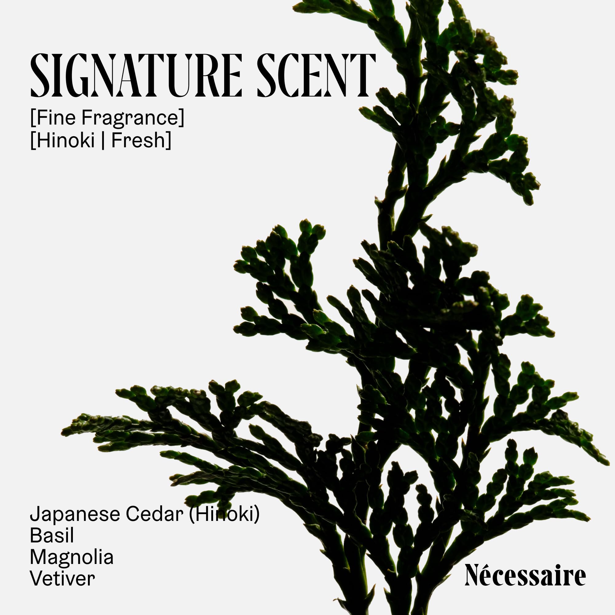 Lotion Nécessaire Hinoki – huiles riches en vitamines C et E.