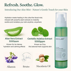 Neclar CICA Aloe tonique centella aloé composition apaise et prépare la peau