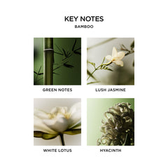 NEST New York Bamboo formulation enrichie d antioxydants pour la peau au quotidien.