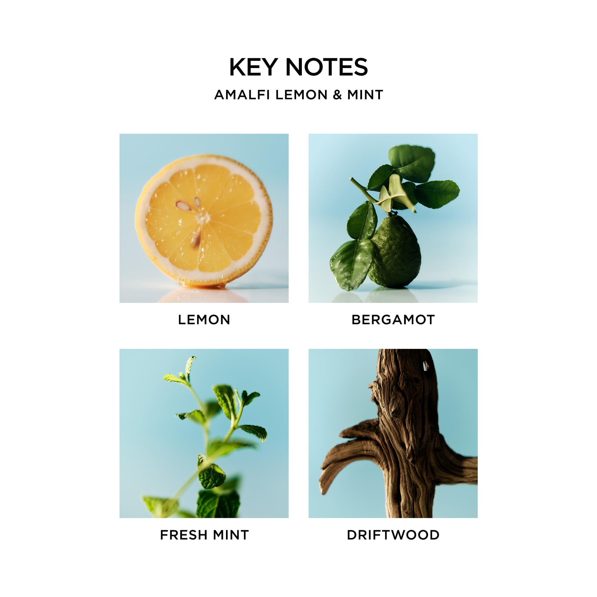 NEST New York Savon liquide Amalfi citron menthe, parfum frais pour une peau douce.