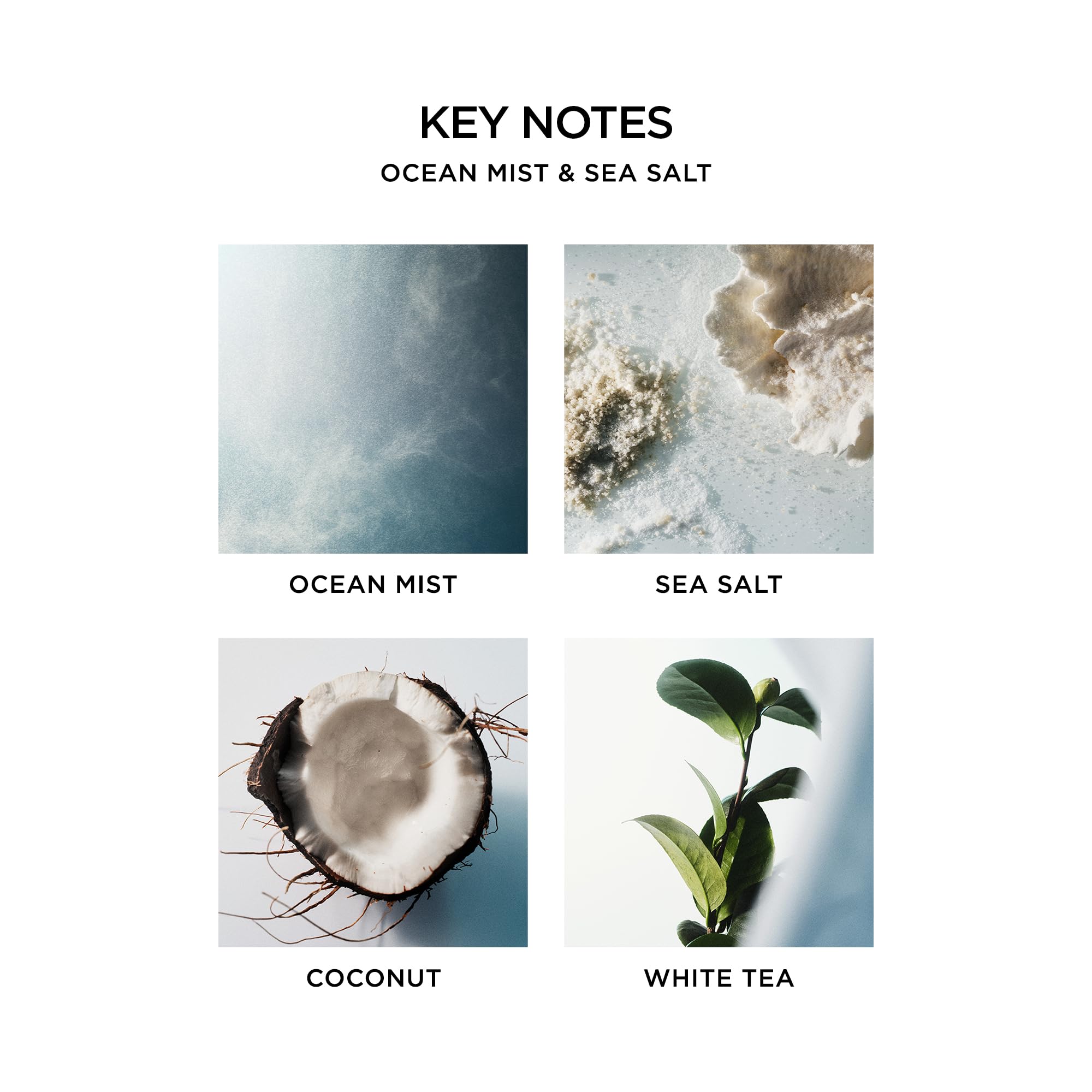 Nest New York Savon Liquide Noix de Coco: hydratation légère et parfum invitant.