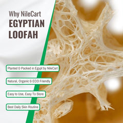 Loofah NileCart peau éclatante et naturelle après exfoliation douce.
