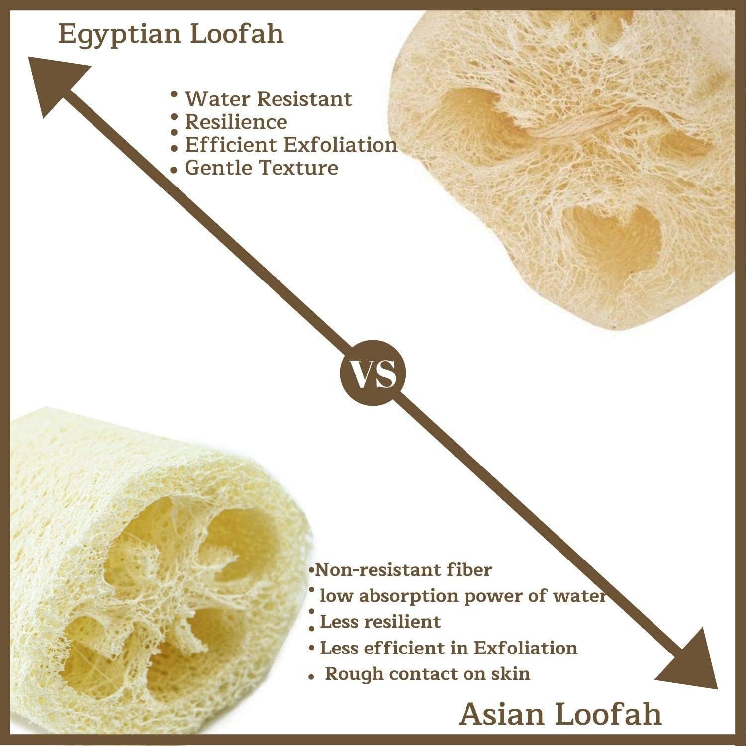 Utilisation quotidienne NileCart Loofah pour hommes et femmes.
