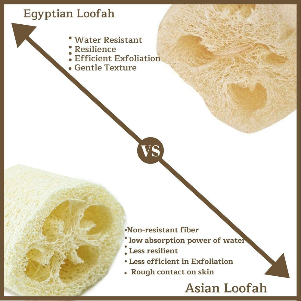 Utilisation quotidienne NileCart Loofah pour hommes et femmes.