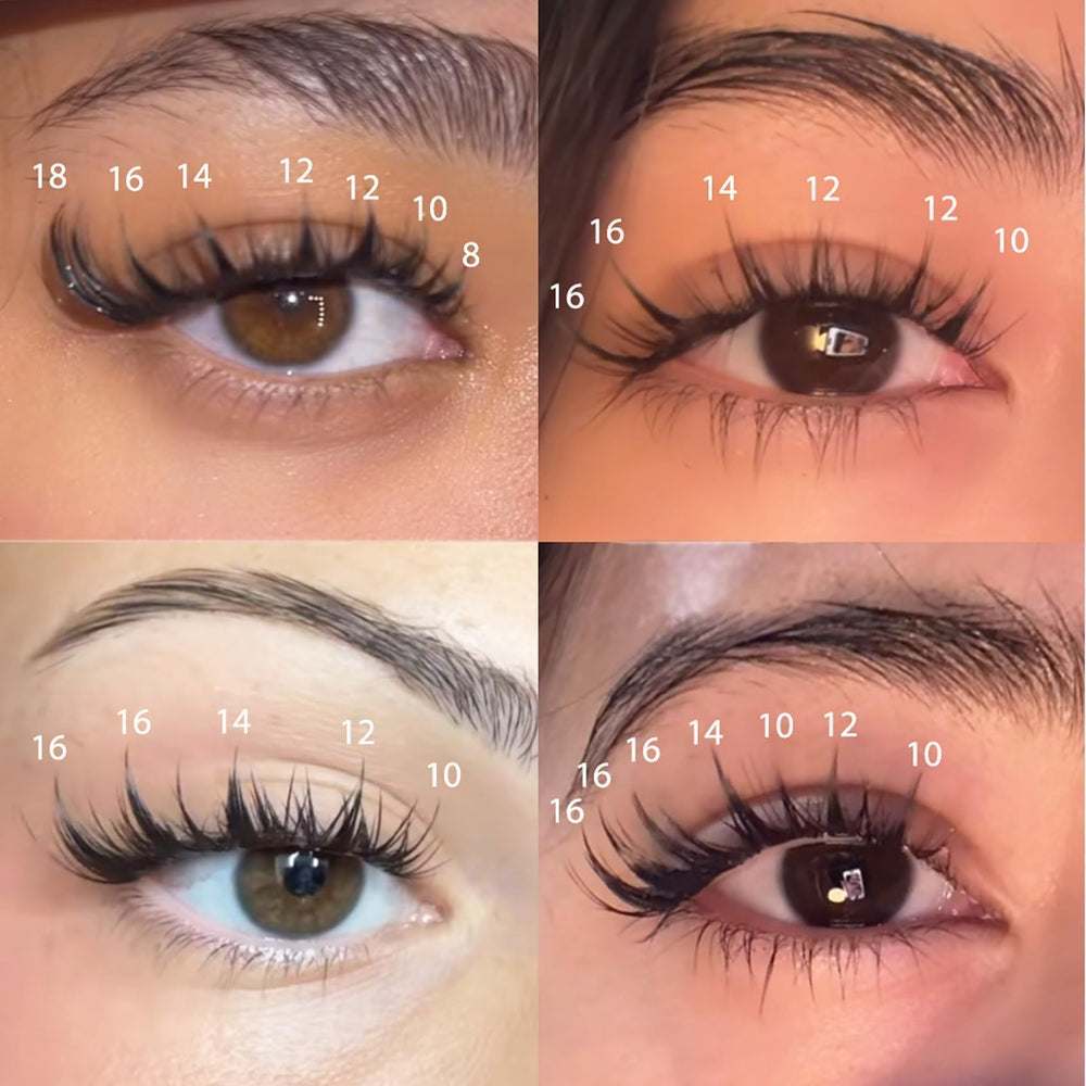 Ninglash Application Facile: méthode simple pour débutants.
