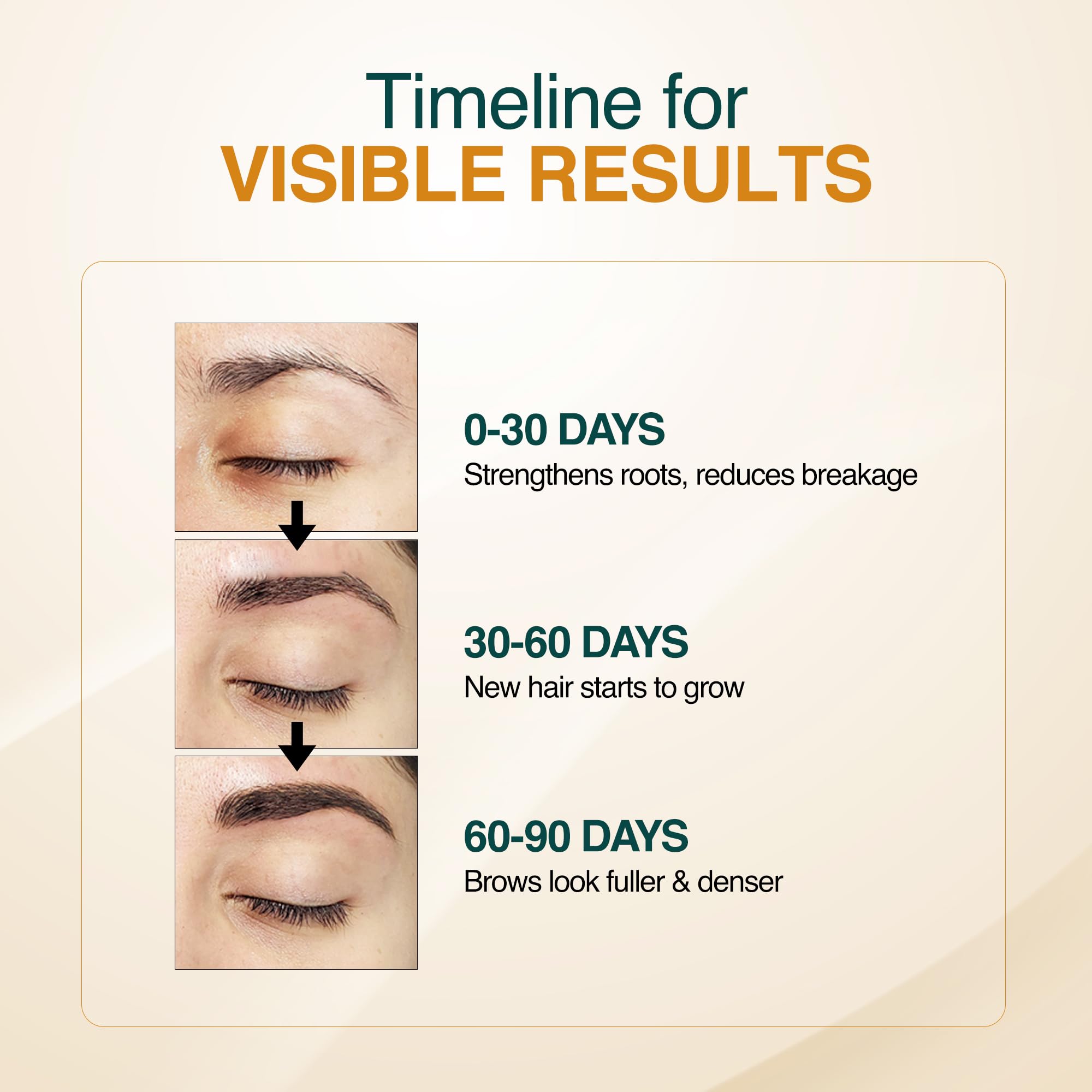 Application précise grâce à la brosse, ciblant les zones clairsemées des sourcils.