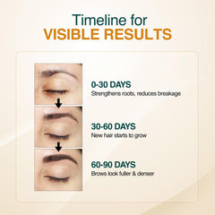 Application précise grâce à la brosse, ciblant les zones clairsemées des sourcils.