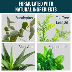 Ingrédients Aloe vera dans la Crème Pieds NUVADERMIS pour douceur.