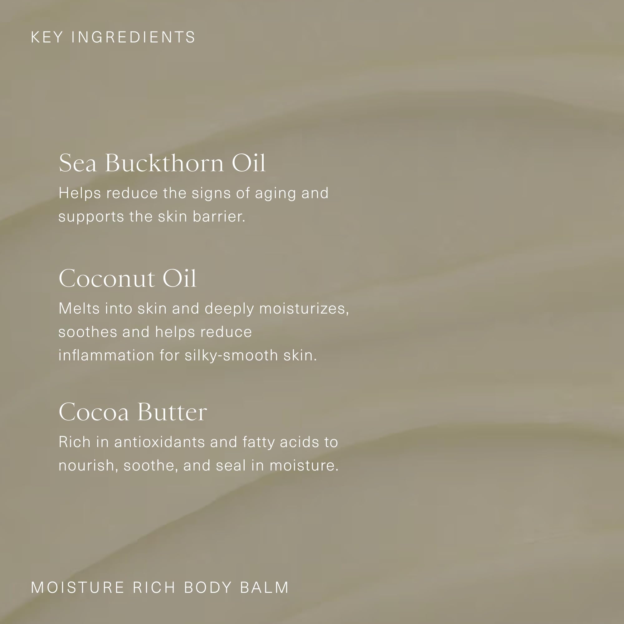 Parfum lavande et balsam Oak Essentials, expérience aromathérapie relaxante.