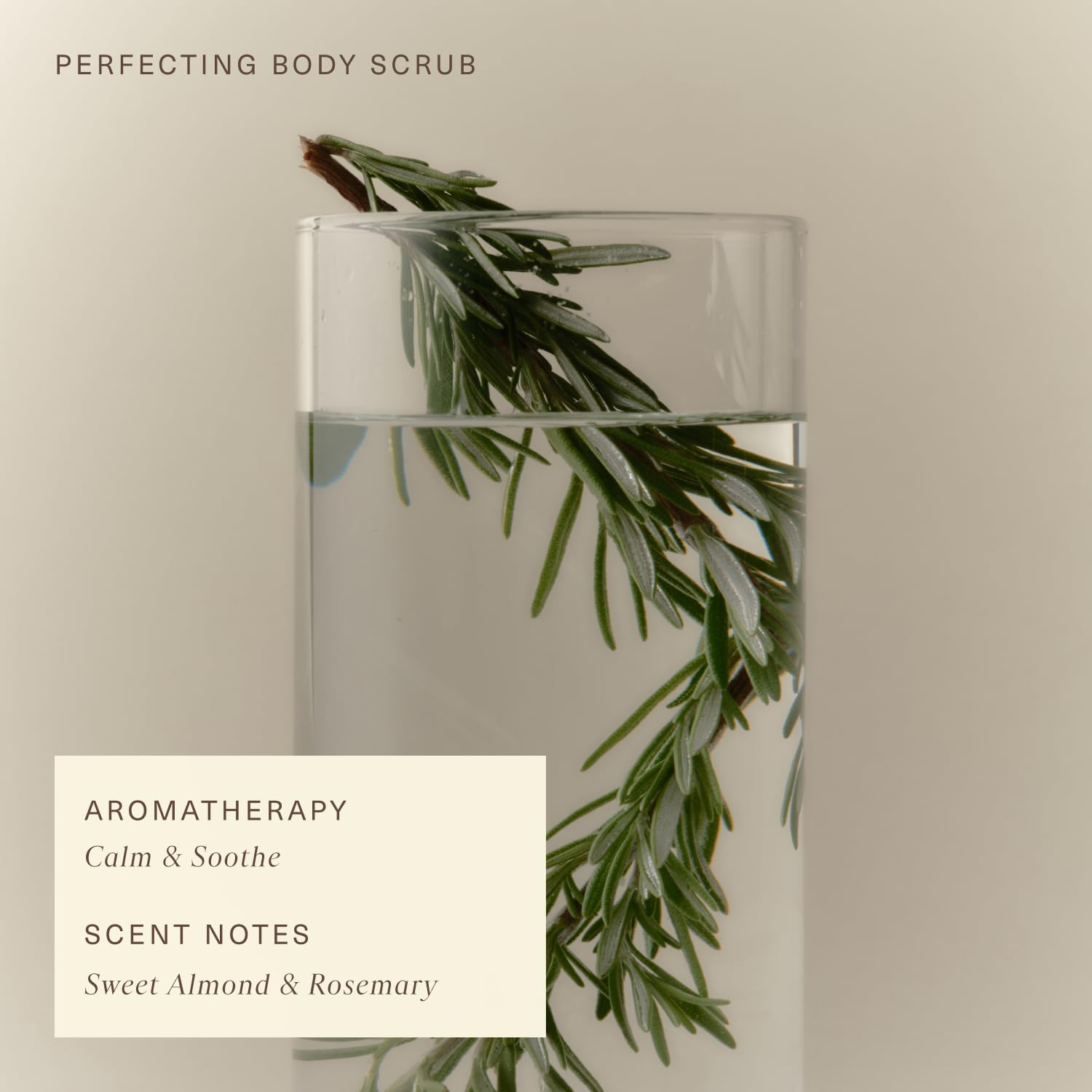 Bouteille sobre élégante Oak Essentials: packaging discret pour routine quotidienne.