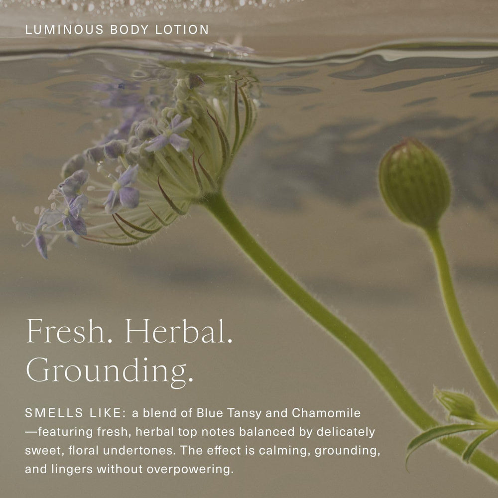 Oak Essentials Luminous Body Lotion – formule propre sans colorants ni sulfates.