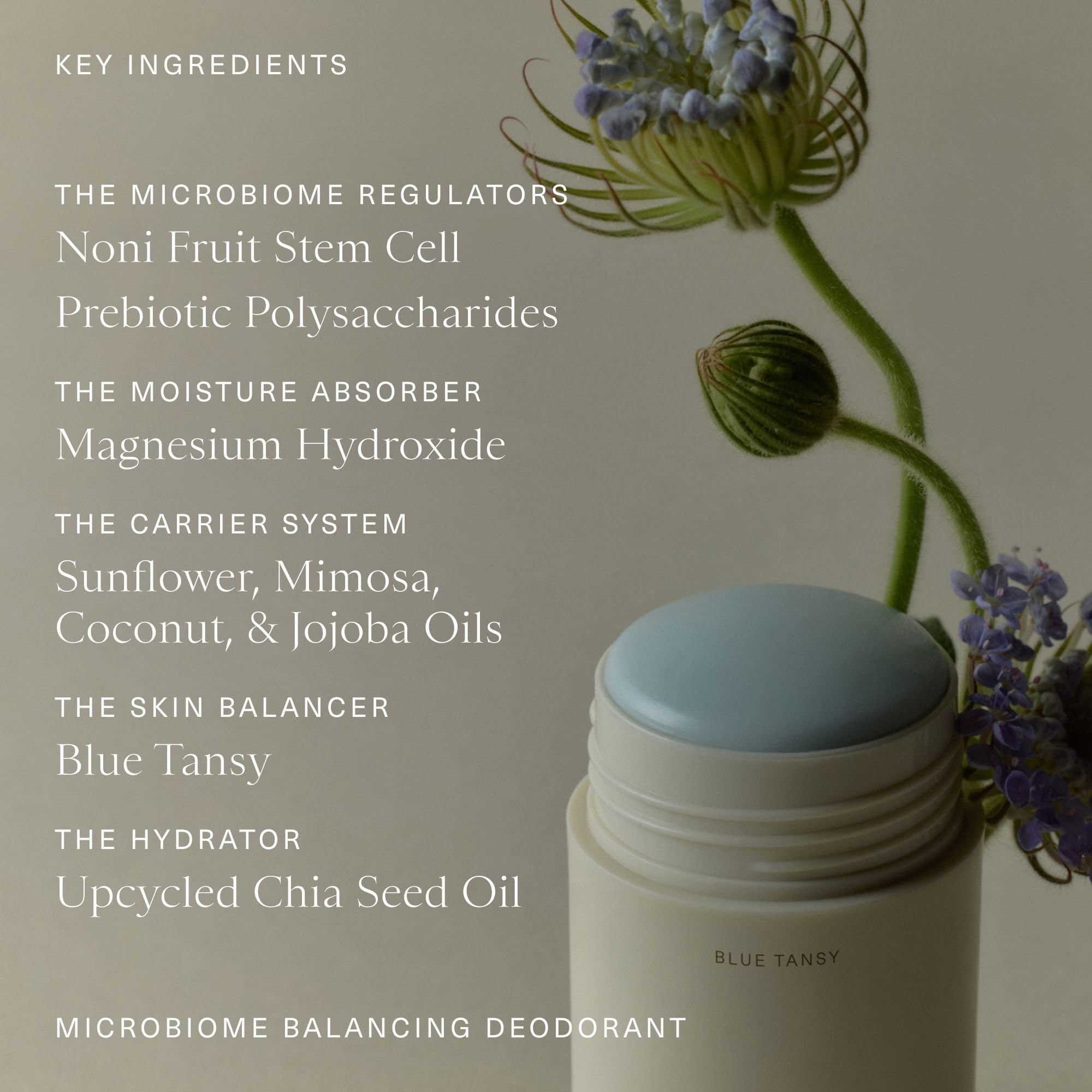 Oak Essentials Prébiotiques et polysaccharides pour une protection durable des odeurs