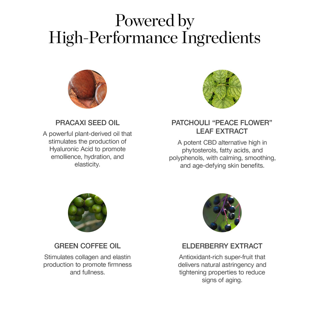 Ogee baton-teint hydratation avancée Aspen 1-0w pour peau fraîche.