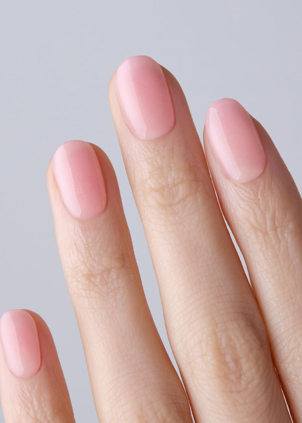 Ohora Bandes gel semi-cuites palettes de couleurs variées