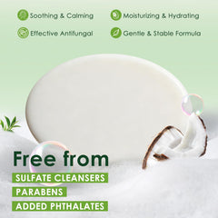 Oiangna Savon antifongique à l'huile d'arbre à thé – détail de mousse onctueuse et parfum frais.