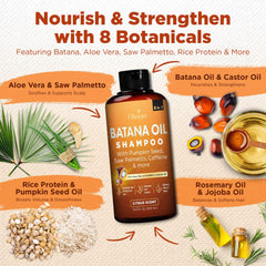Okaga Shampoing Saw Palmetto – texture et stimulation du cuir chevelu
